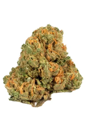 Jack Herer Weed